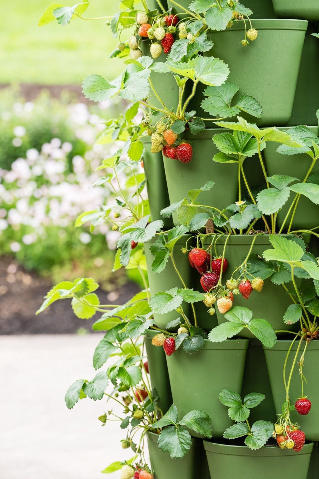 7 Tier GreenStalk Garden Leaf Vertical Planter - Basic Texture - Cheeky Garden