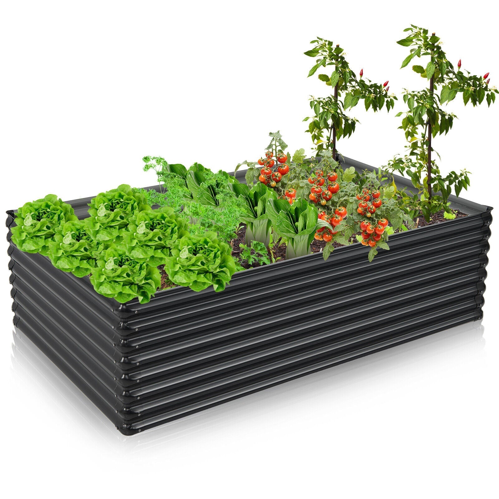 71 Inch Galvanized Metal Raised Garden Bed for Garden Backyard-Dark Gray - Cheeky Garden