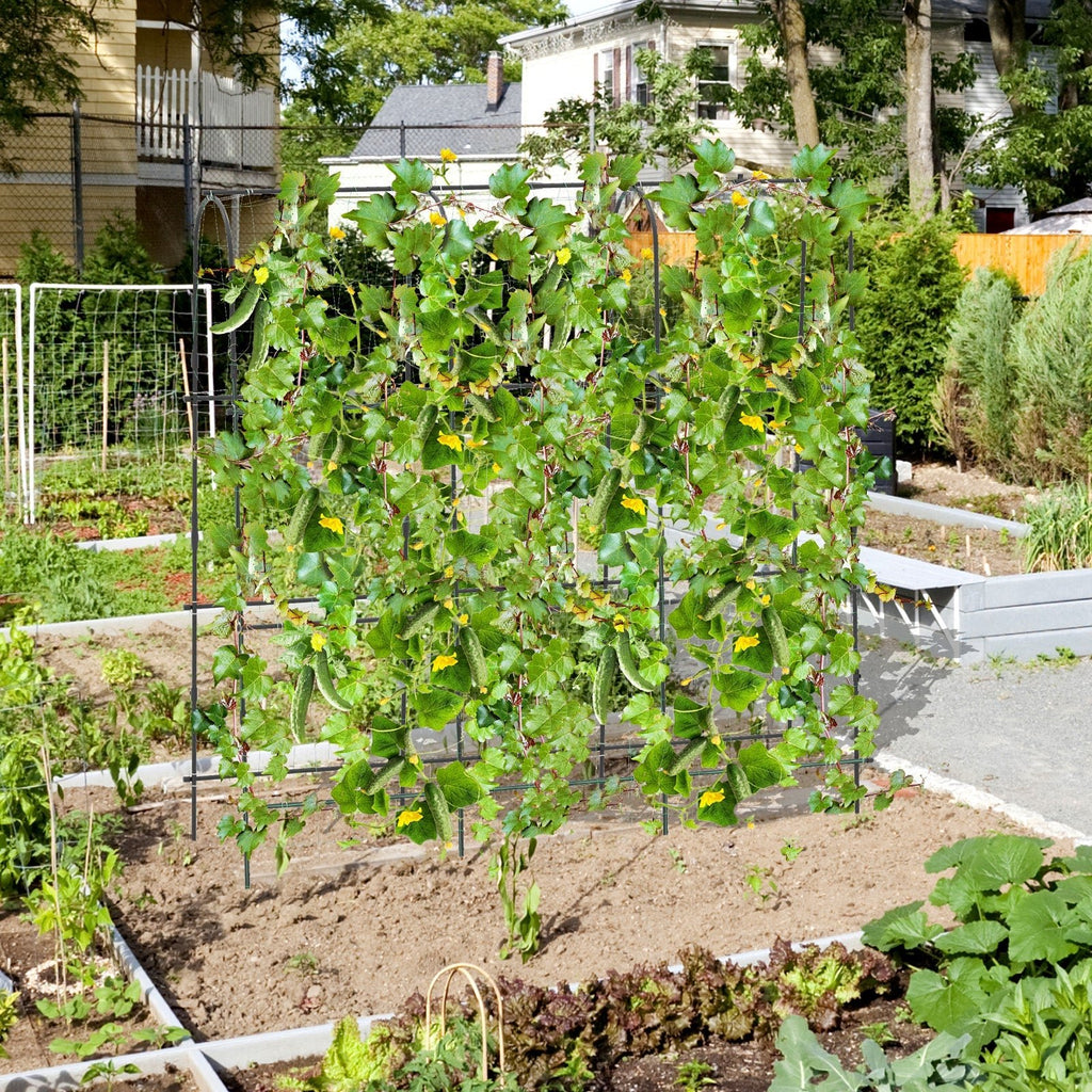 71 x 71 Inch U-Shaped Tall Garden Arched Trellis for Climbing Plants - Cheeky Garden