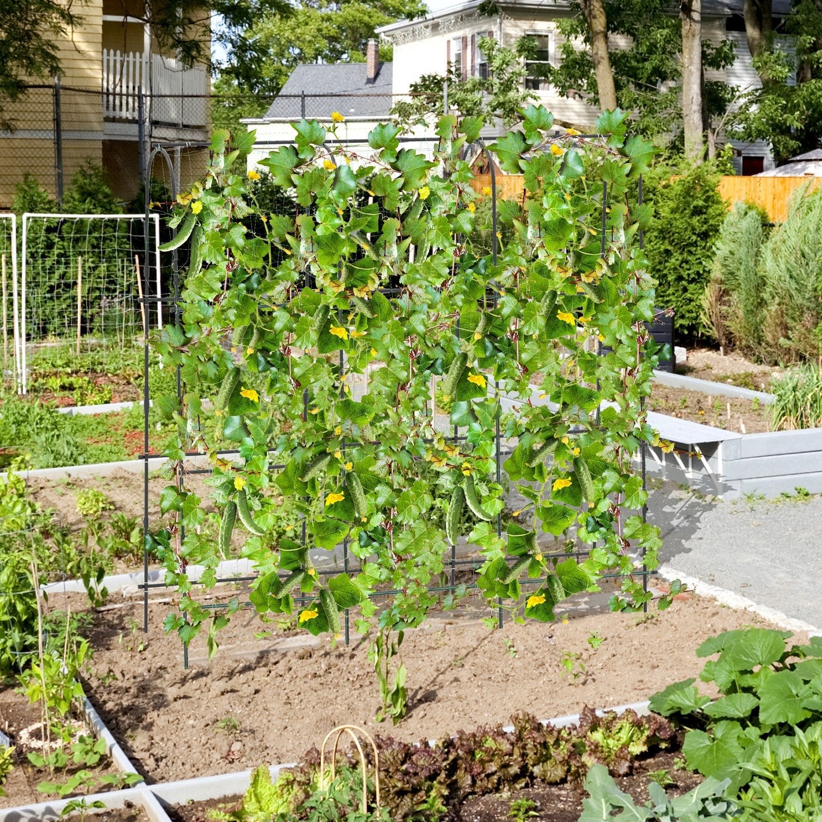 71 x 71 Inch U-Shaped Tall Garden Arched Trellis for Climbing Plants - Cheeky Garden