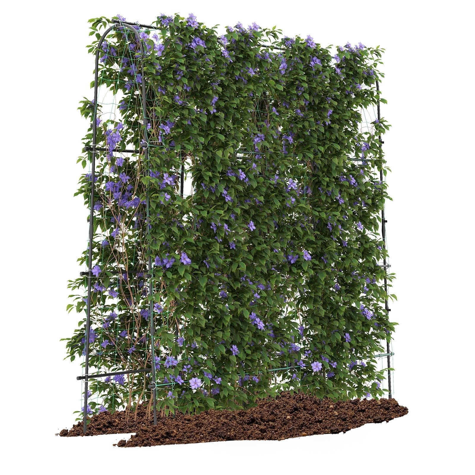 71 x 71 Inch U-Shaped Tall Garden Arched Trellis for Climbing Plants - Cheeky Garden