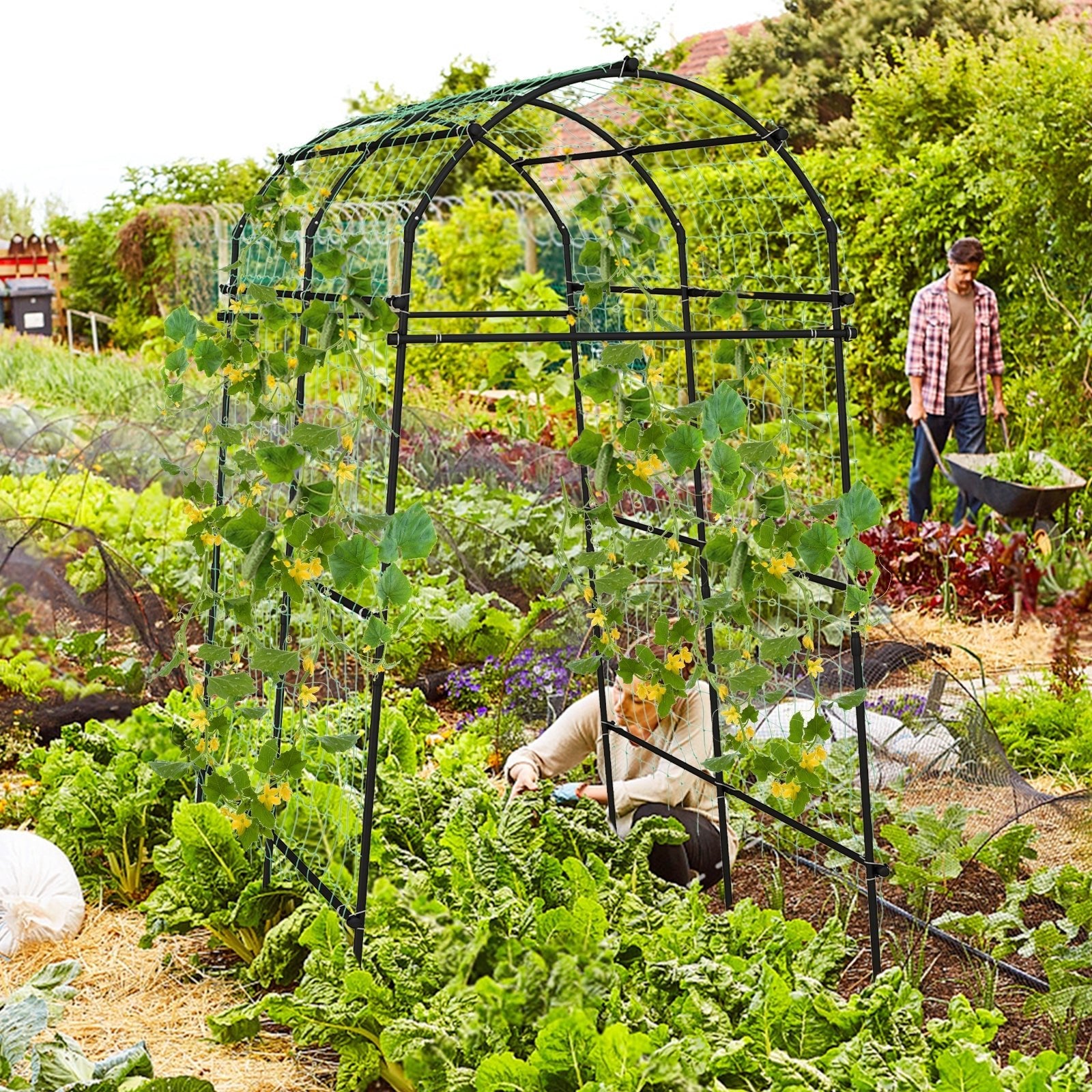 7.5 Feet Garden Arch Trellis with PE Coated Metal Structure - Cheeky Garden