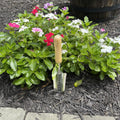 Stainless Steel Transplanter Trowel (classic wood handle)