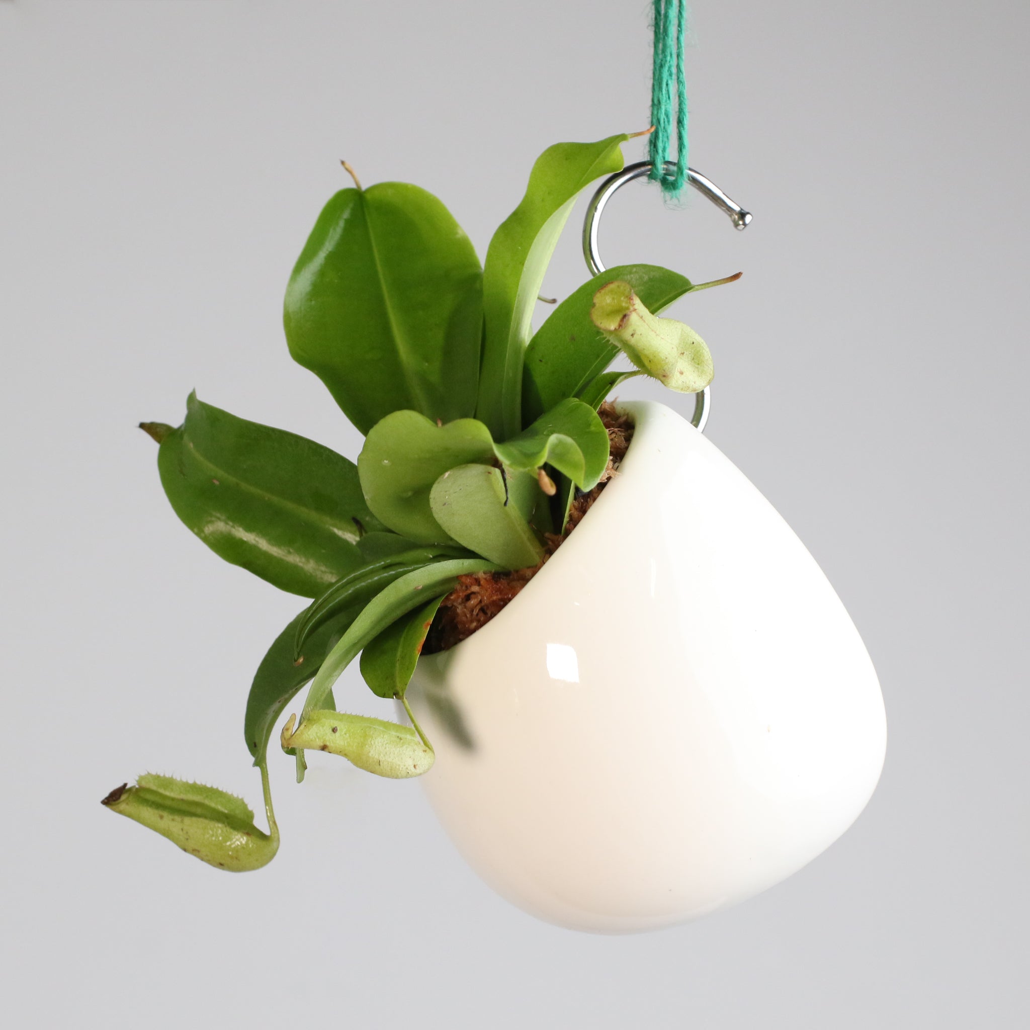 Minimalistic Ceramic White Planter Bundle — Set of 3