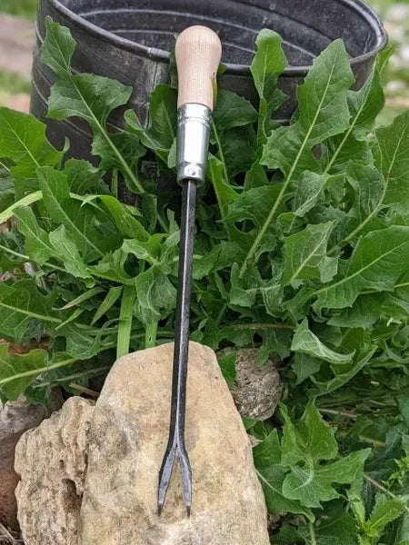 Weeding Fork (dandelion fork) Hand Forged Garden Tool