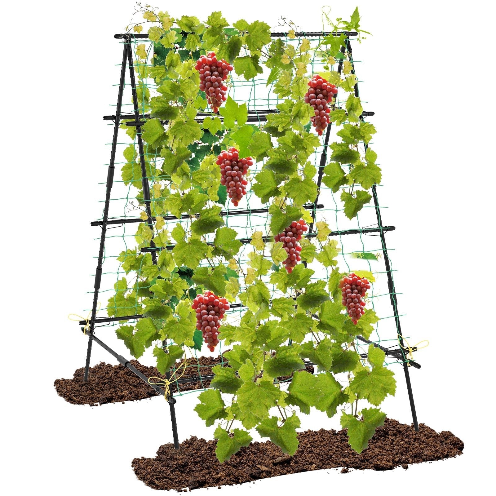 A-Frame Garden Cucumber Trellis with Netting for Climbing Plants Outdoor-Black - Cheeky Garden