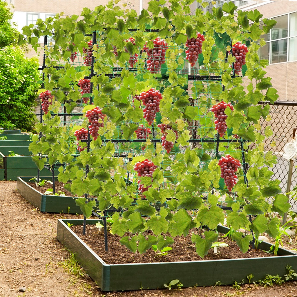 A-Frame Garden Cucumber Trellis with Netting for Climbing Plants Outdoor-Black - Cheeky Garden