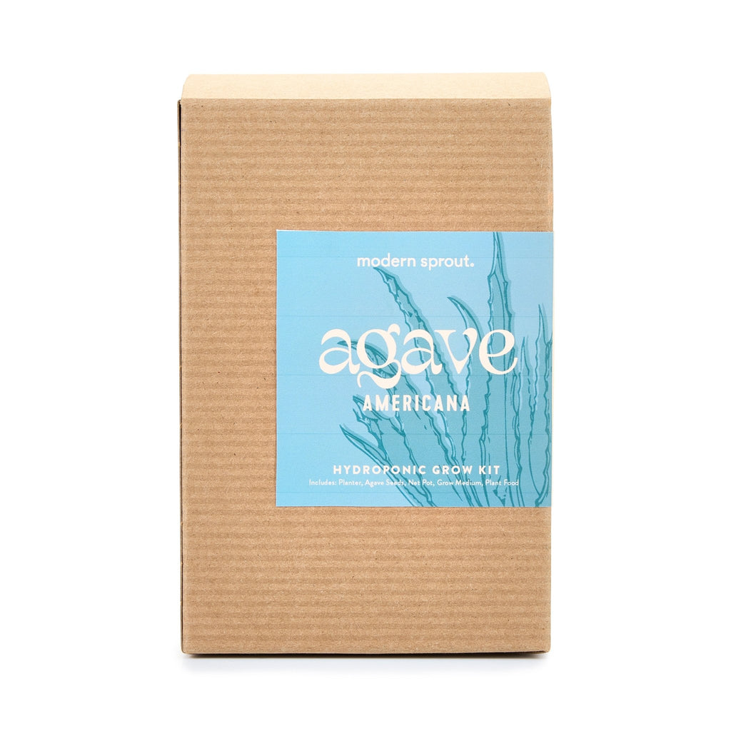 Agave Grow Kit - Cheeky Garden