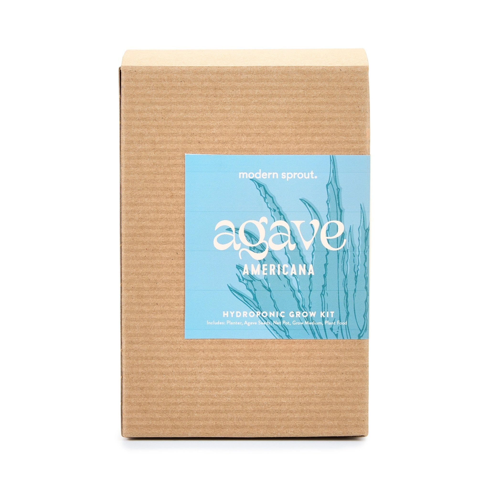Agave Grow Kit - Cheeky Garden