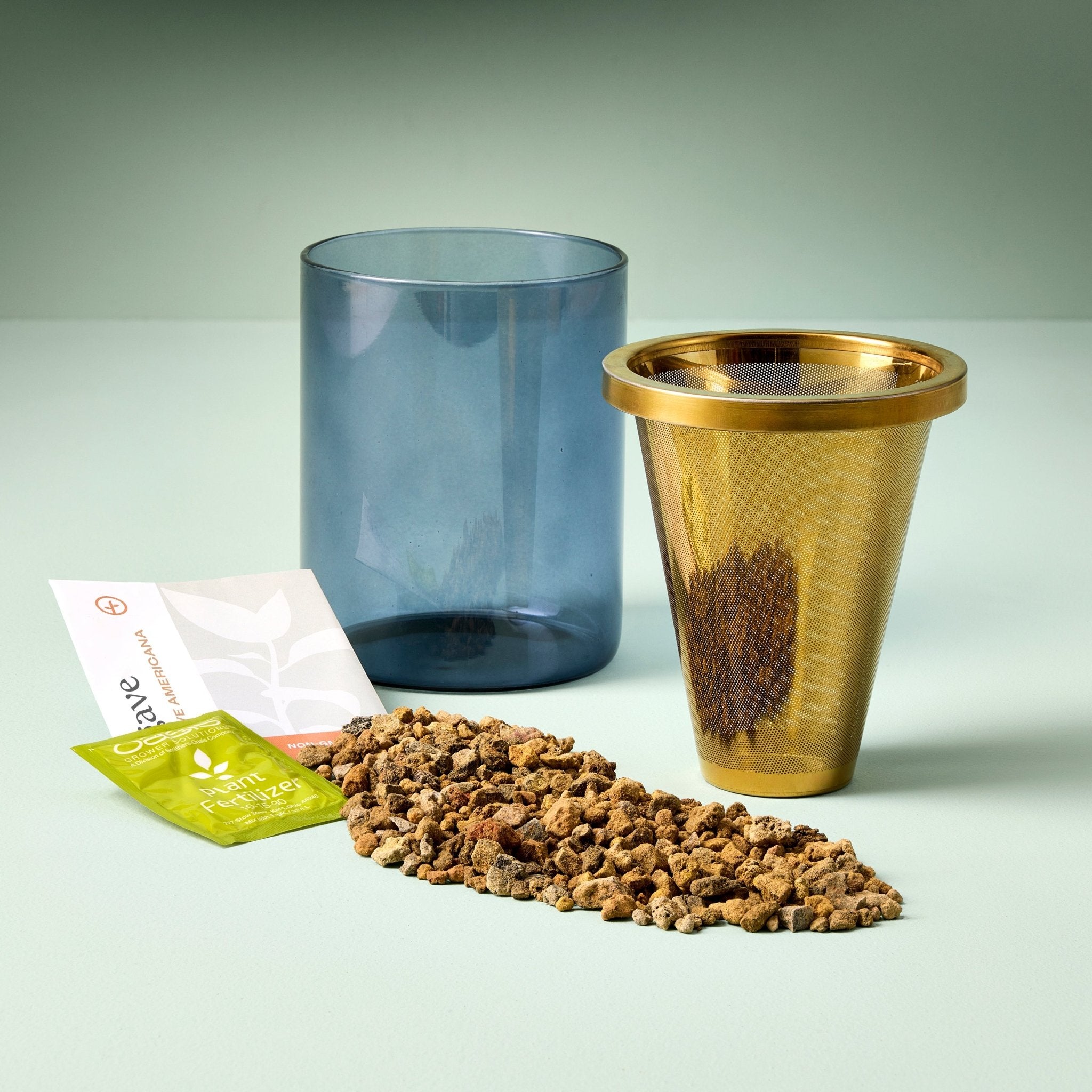 Agave Grow Kit - Cheeky Garden
