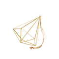 Air Plant Display Hanger - Brass - Cheeky Garden