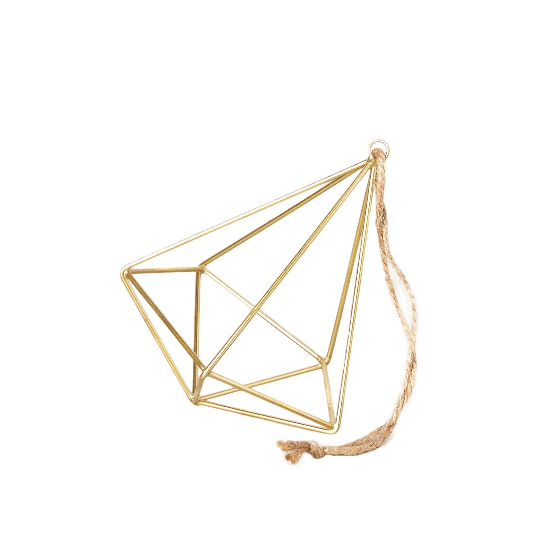Air Plant Display Hanger - Brass - Cheeky Garden