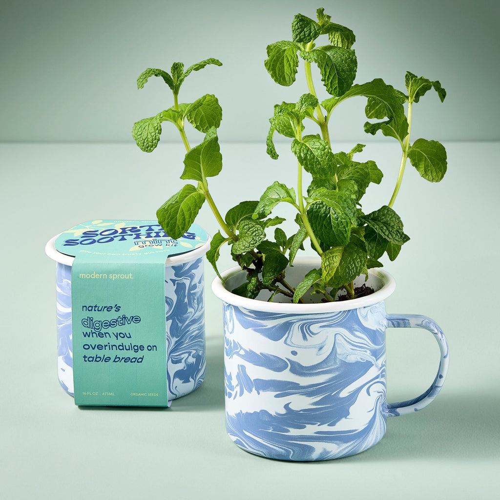 Altered Herb Mug Grow Kits - Cheeky Garden