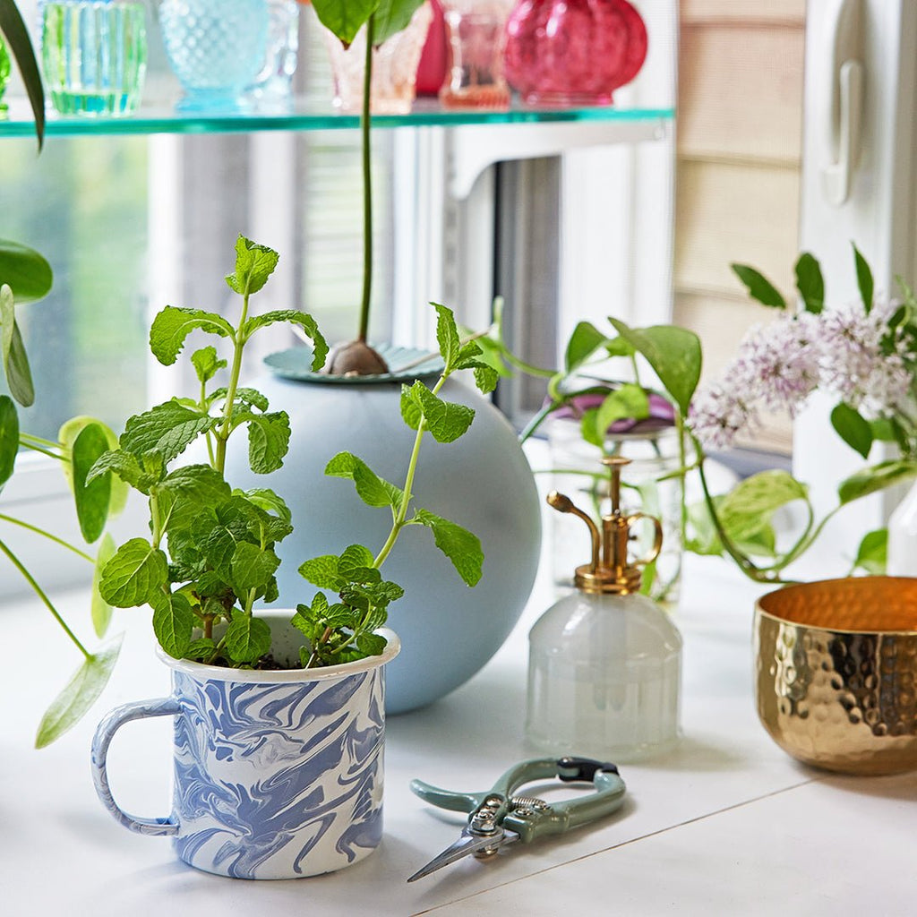 Altered Herb Mug Grow Kits - Cheeky Garden