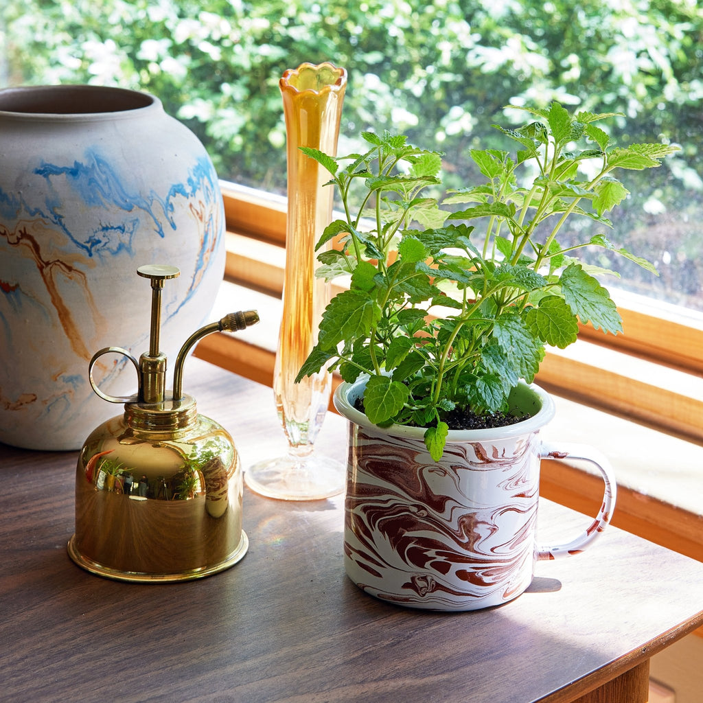Altered Herb Mug Grow Kits - Cheeky Garden