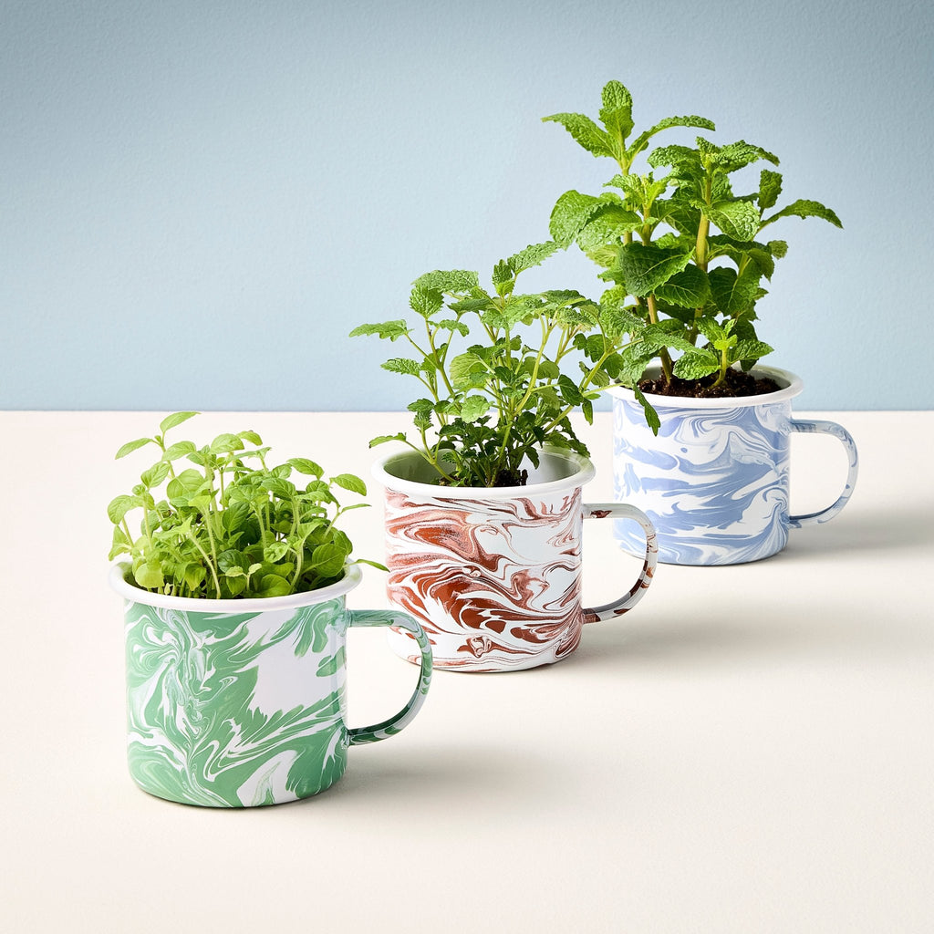 Altered Herb Mug Grow Kits - Cheeky Garden