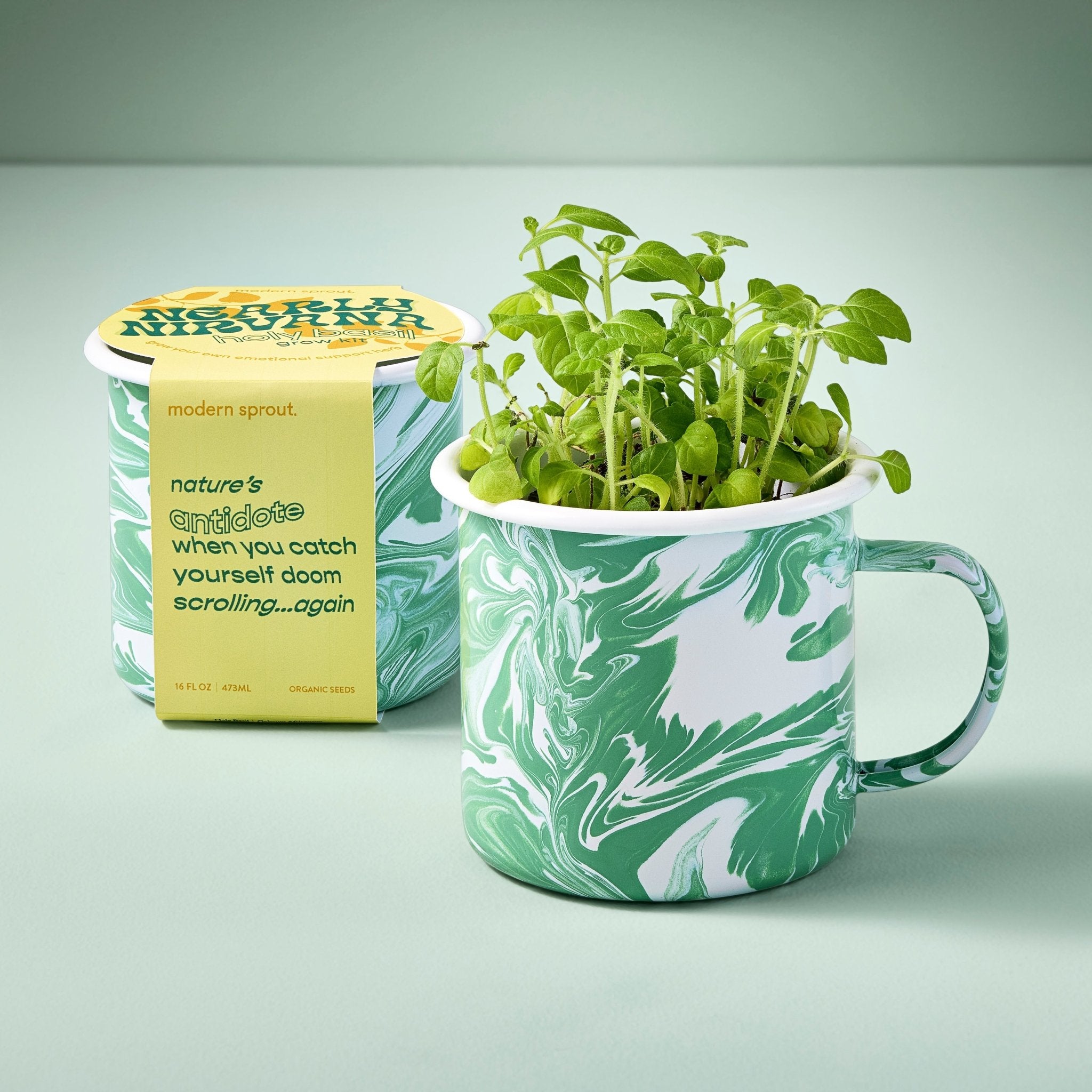 Altered Herb Mug Grow Kits - Cheeky Garden