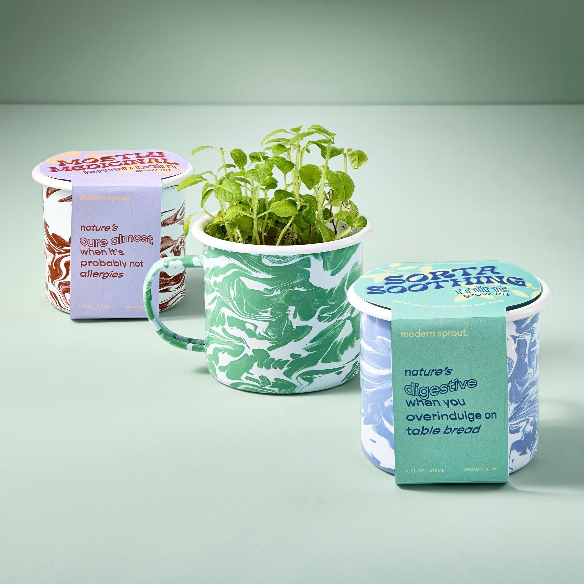 Altered Herb Mug Grow Kits - Cheeky Garden