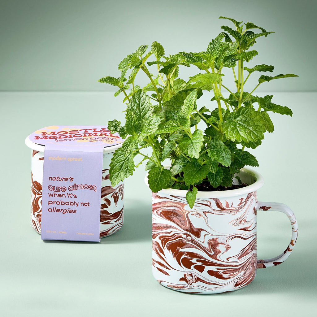 Altered Herb Mug Grow Kits - Cheeky Garden