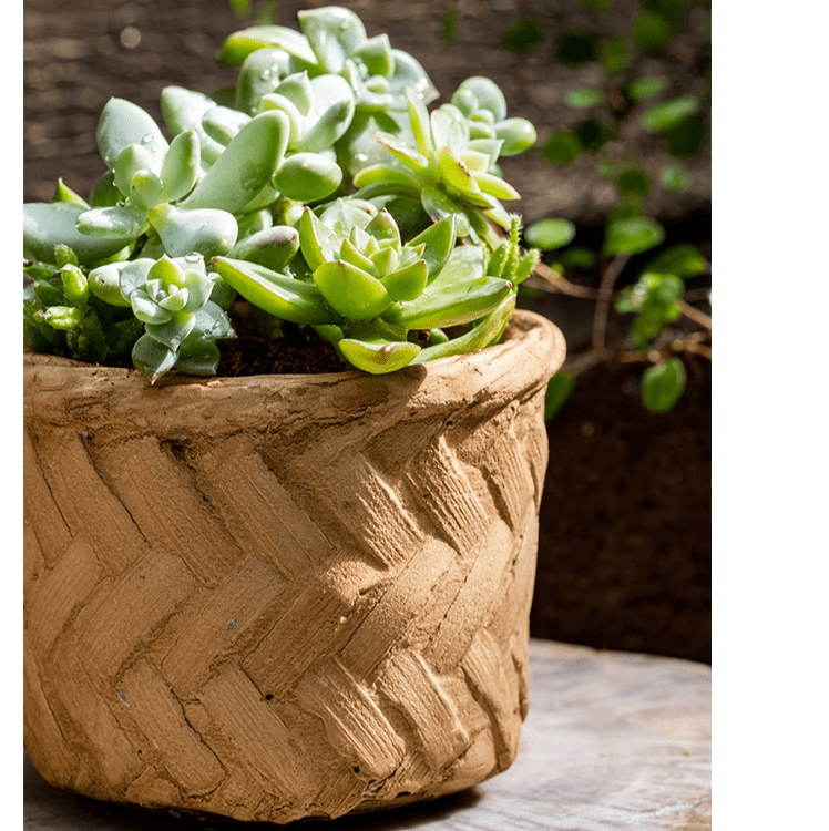 Bamboo Looking Cement Planter - Cheeky Garden