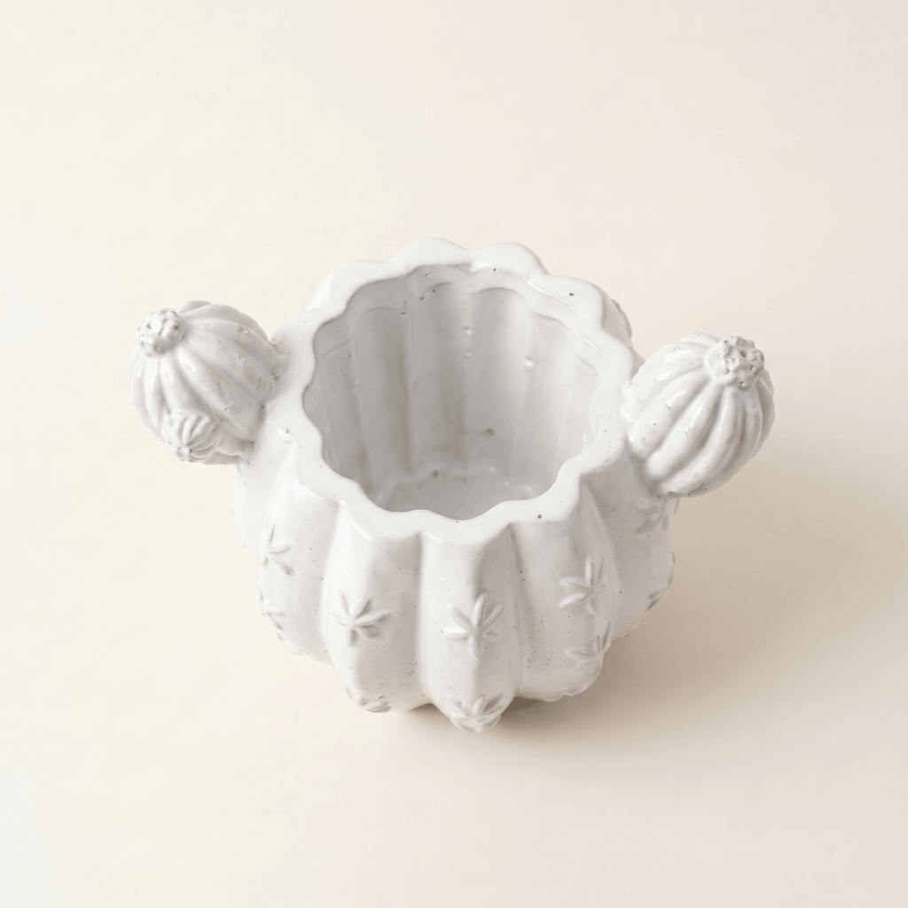Barrel Cactus Planter – Gypsum White 3.5" - Cheeky Garden