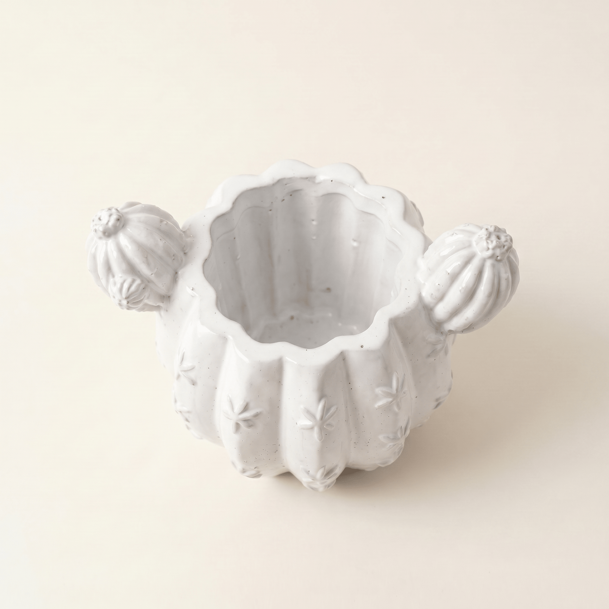 Barrel Cactus Planter – Gypsum White 3.5" - Cheeky Garden