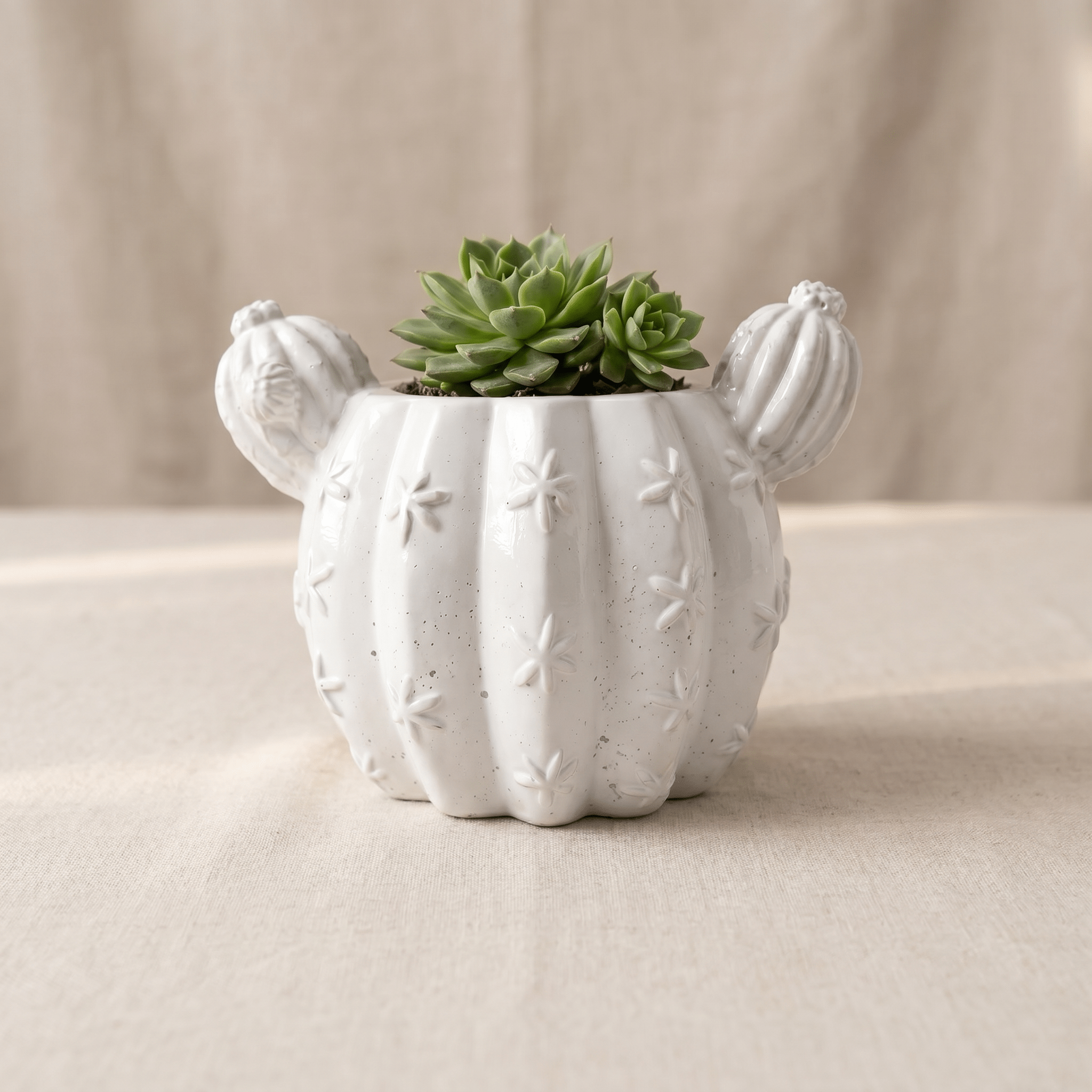 Barrel Cactus Planter – Gypsum White 3.5" - Cheeky Garden