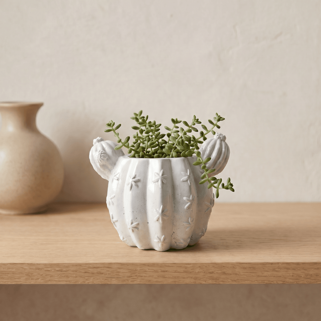 Barrel Cactus Planter – Gypsum White 3.5" - Cheeky Garden
