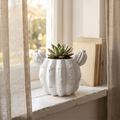 Barrel Cactus Planter – Gypsum White 3.5" - Cheeky Garden