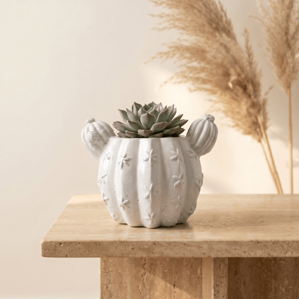 Barrel Cactus Planter – Gypsum White 3.5" - Cheeky Garden