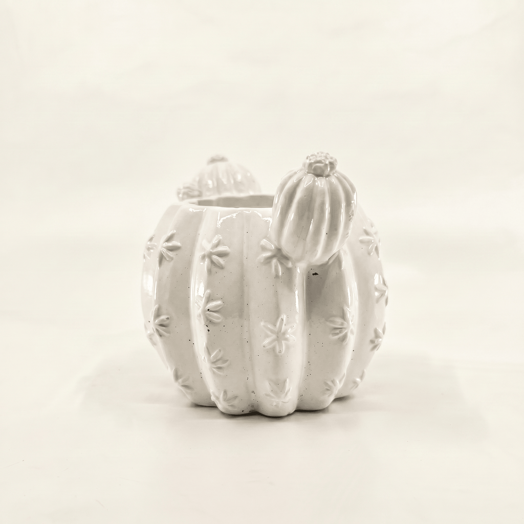 Barrel Cactus Planter – Gypsum White 3.5" - Cheeky Garden