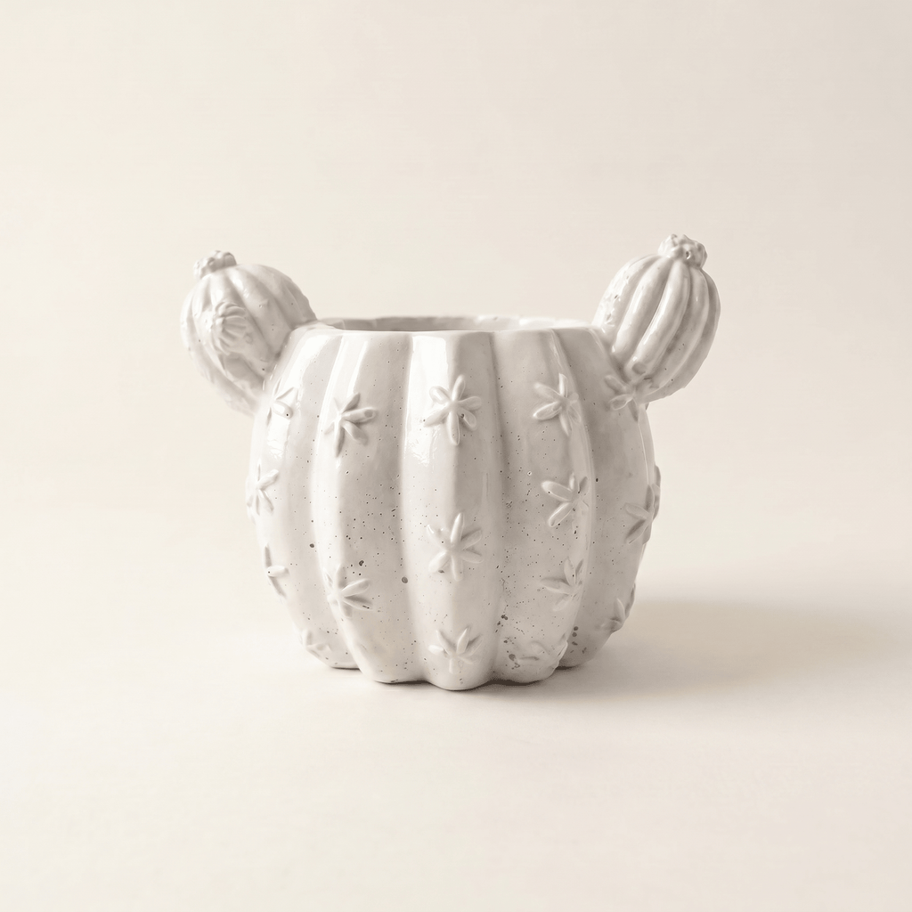 Barrel Cactus Planter – Gypsum White 3.5" - Cheeky Garden