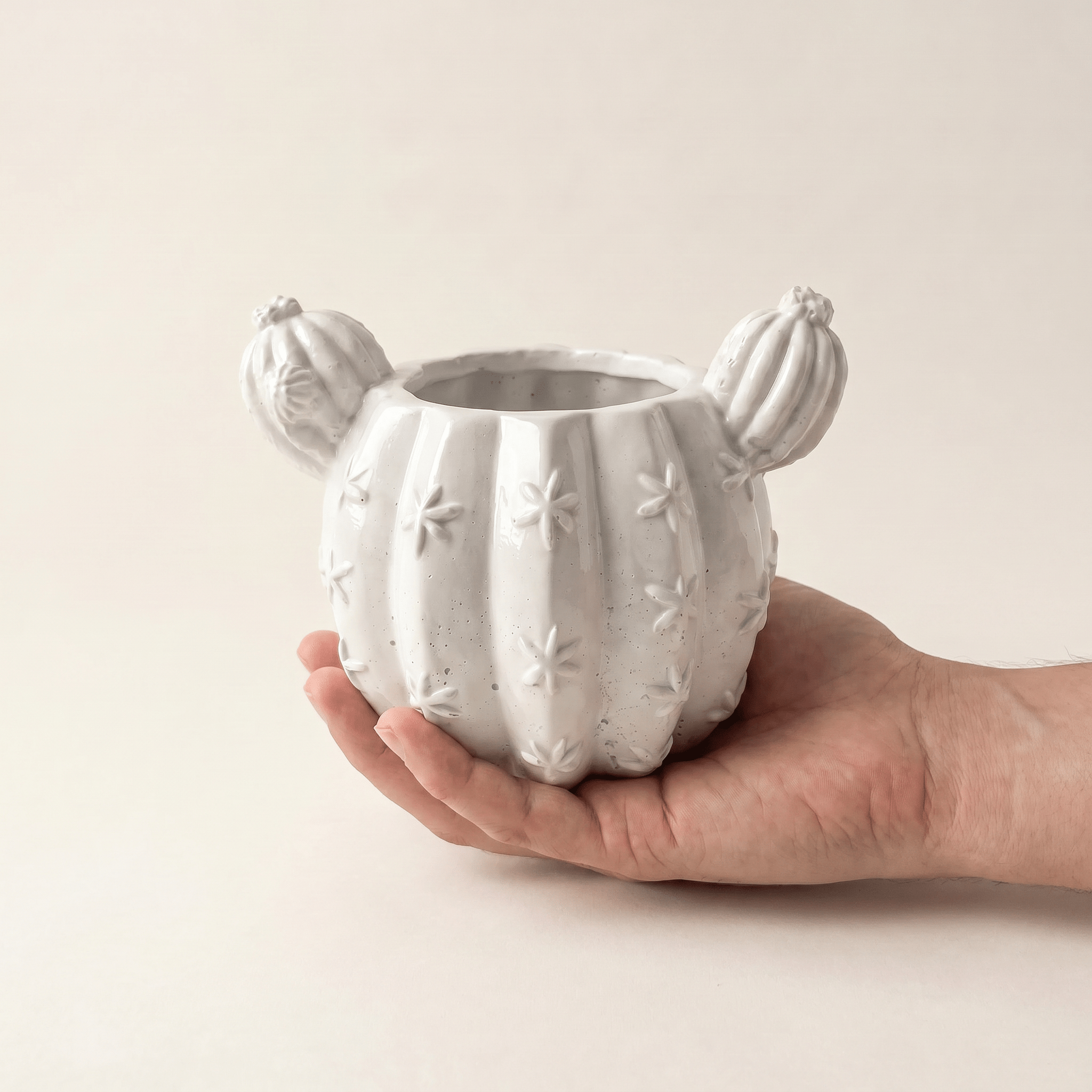 Barrel Cactus Planter – Gypsum White 3.5" - Cheeky Garden