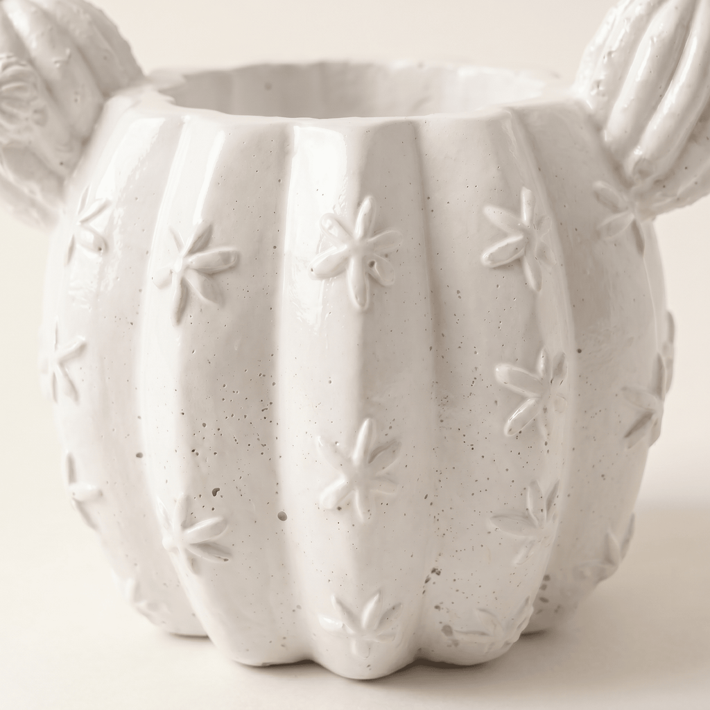 Barrel Cactus Planter – Gypsum White 3.5" - Cheeky Garden