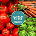 Beginner Vegetable Seed Collection – 10 Varieties - Cheeky Garden