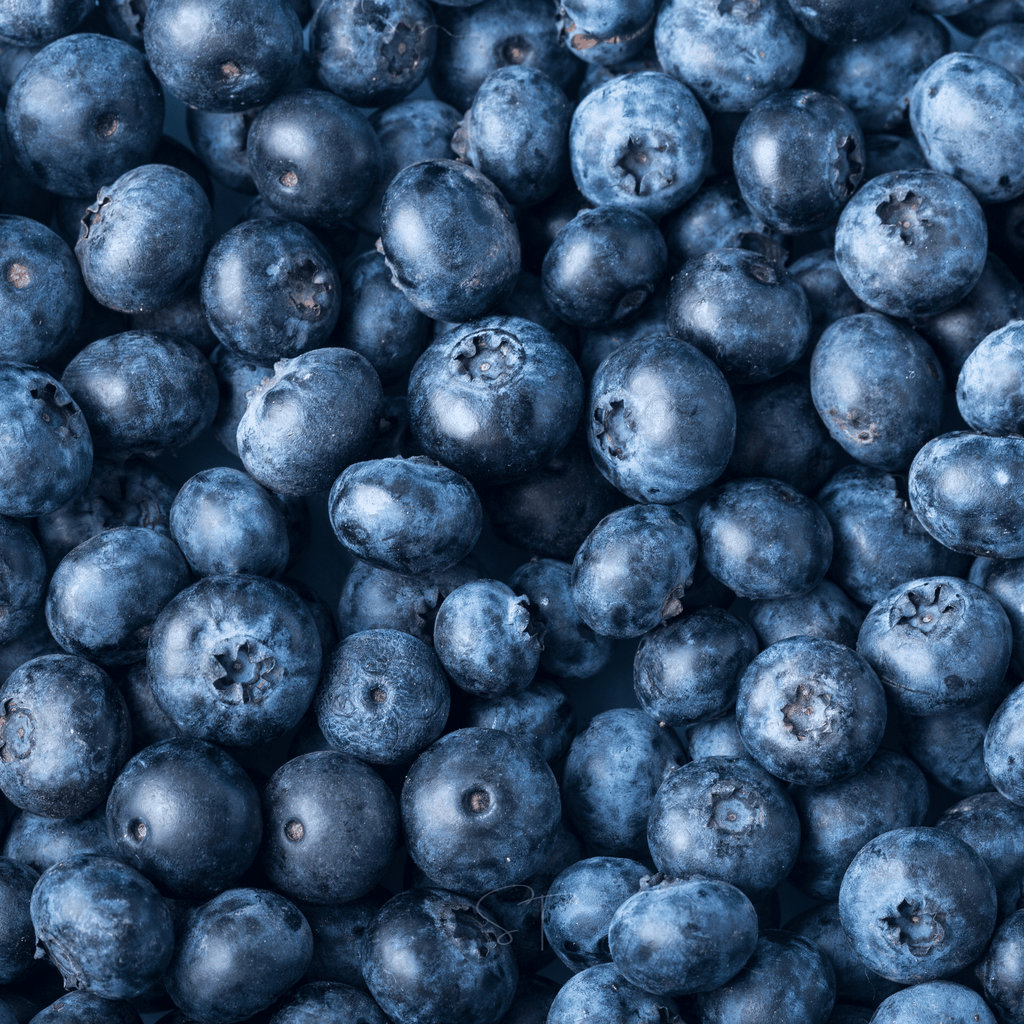 Berry Seed Collection (Elderberry • Blueberry • Strawberry) - Cheeky Garden