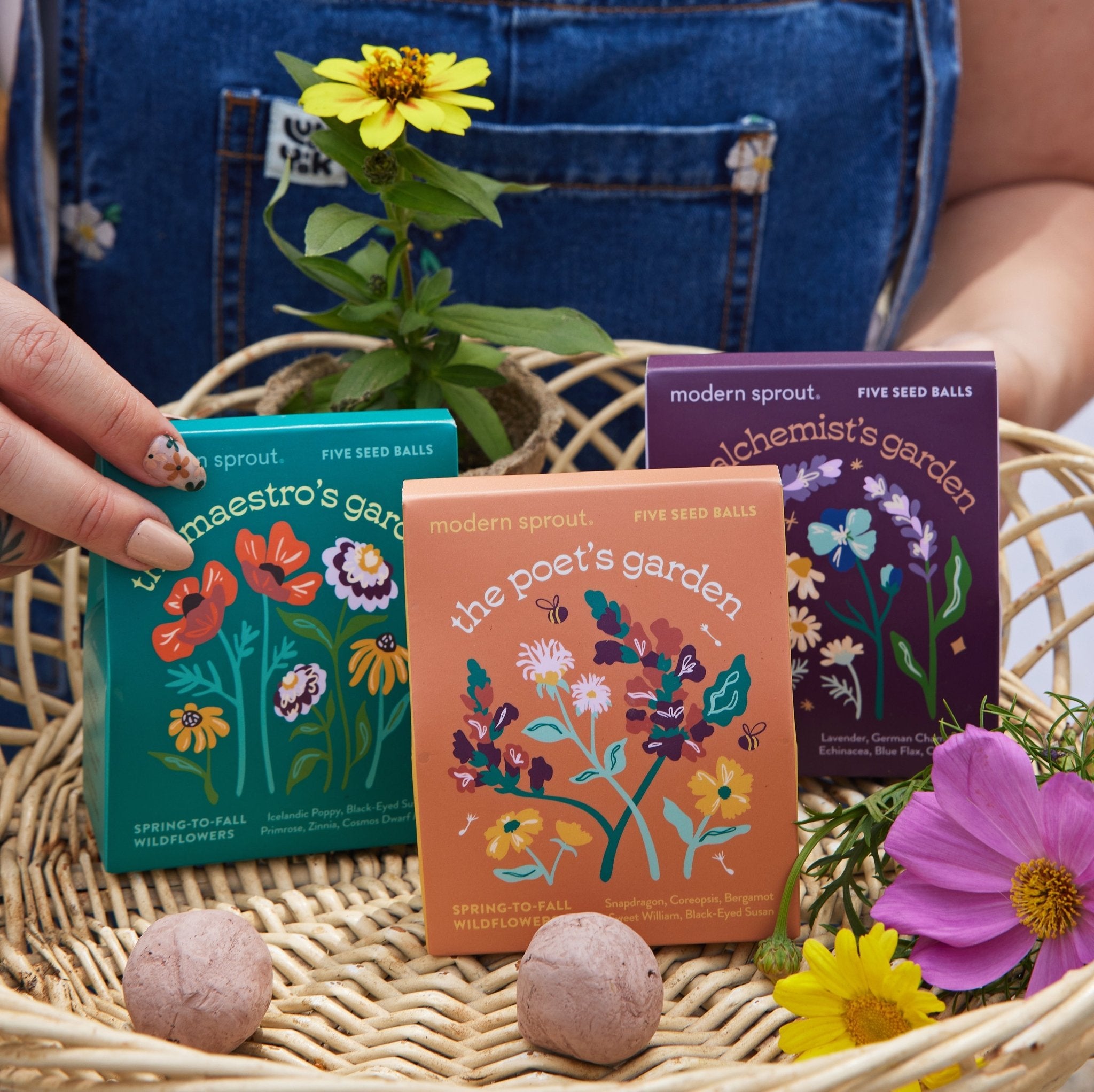 Bespoke Blooms Seed Balls - Cheeky Garden