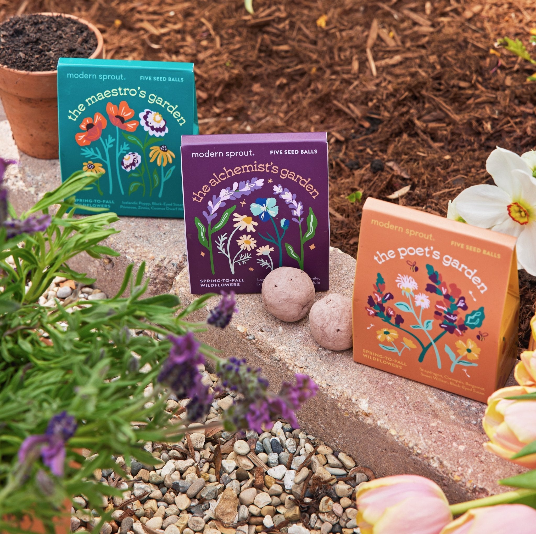Bespoke Blooms Seed Balls - Cheeky Garden