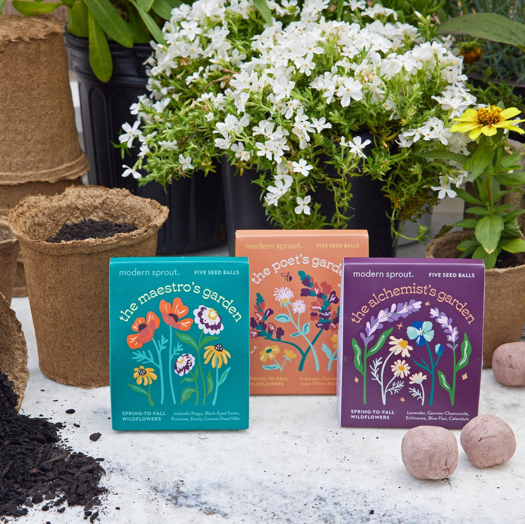 Bespoke Blooms Seed Balls - Cheeky Garden