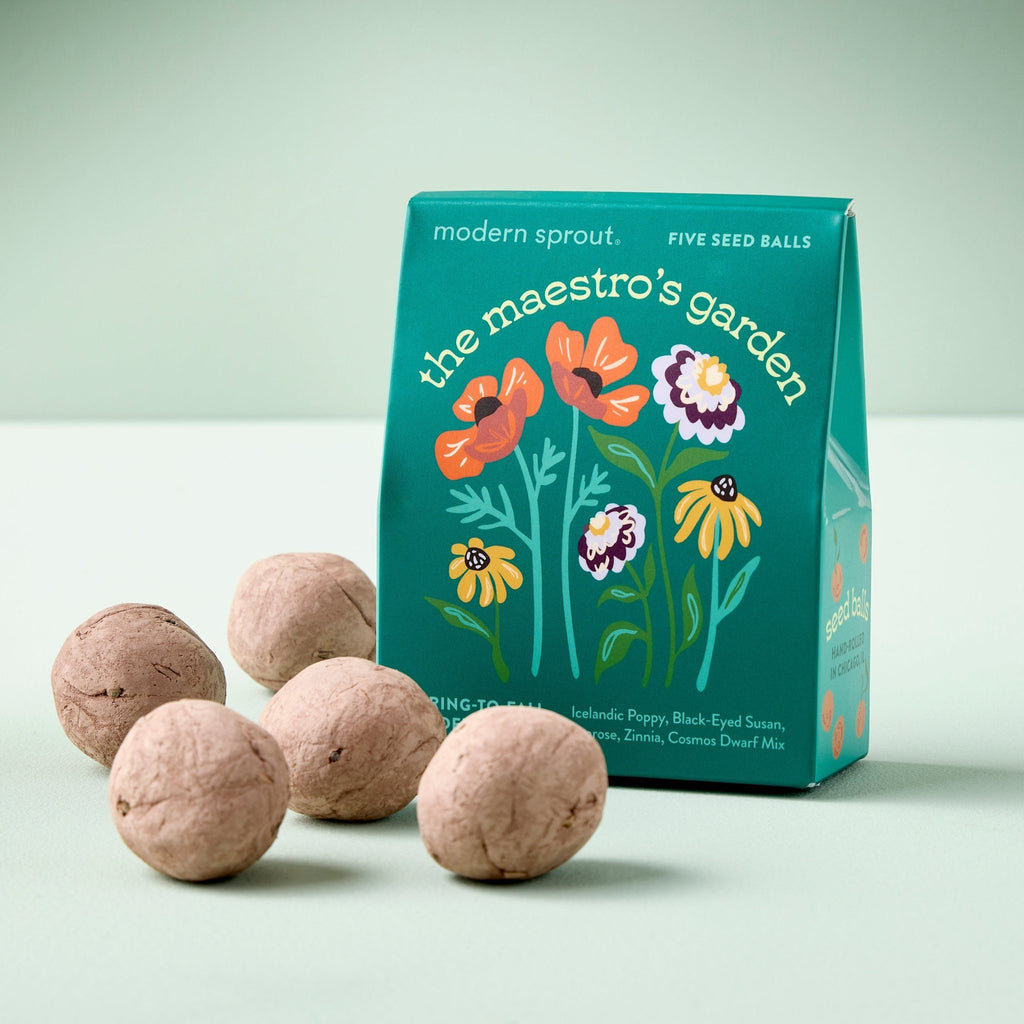 Bespoke Blooms Seed Balls - Cheeky Garden