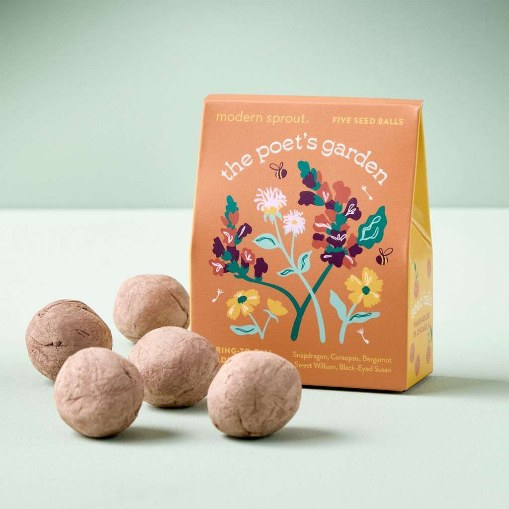 Bespoke Blooms Seed Balls - Cheeky Garden