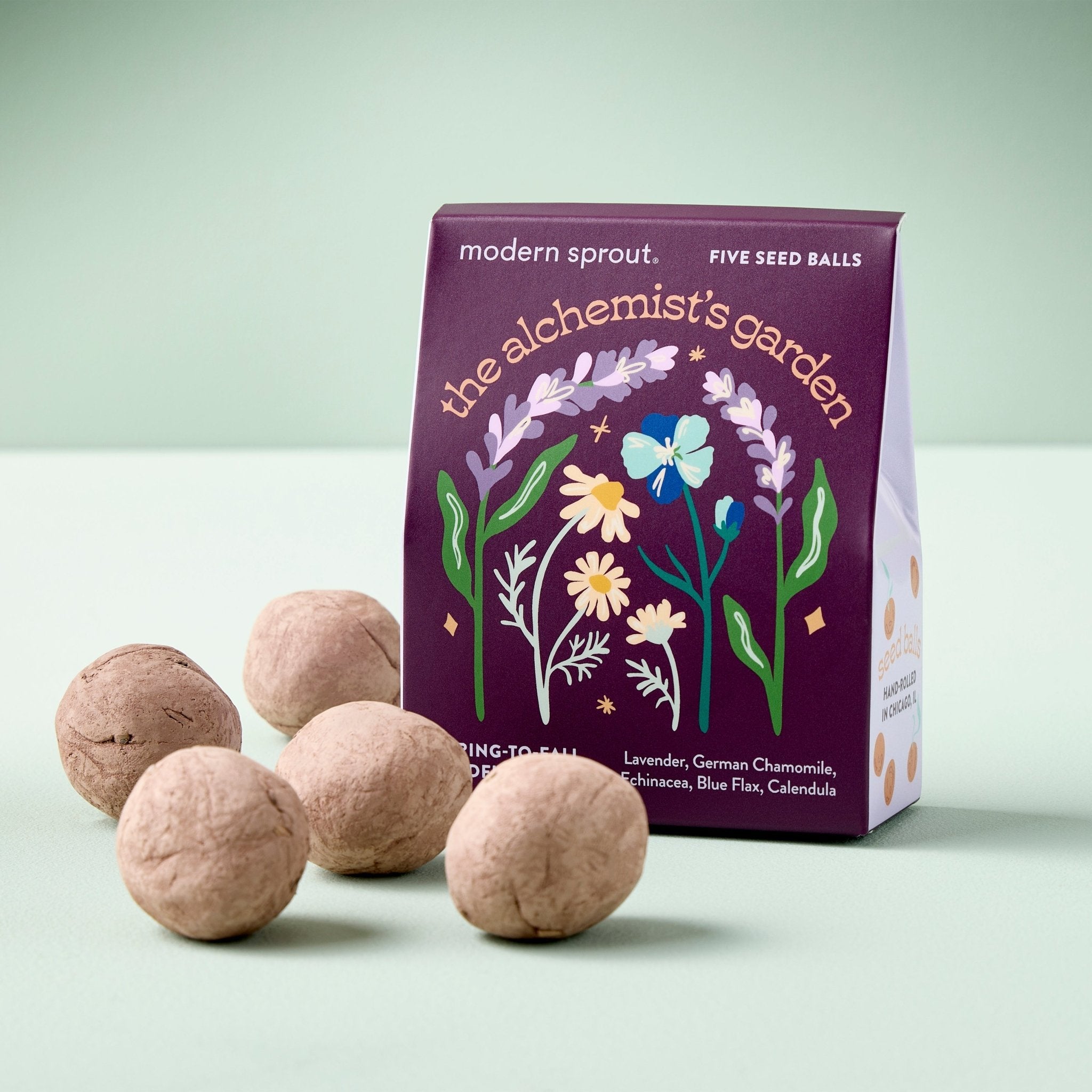 Bespoke Blooms Seed Balls - Cheeky Garden