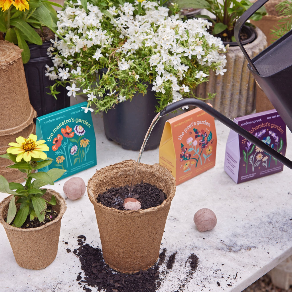 Bespoke Blooms Seed Balls - Cheeky Garden