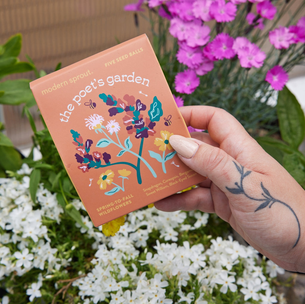 Bespoke Blooms Seed Balls - Cheeky Garden