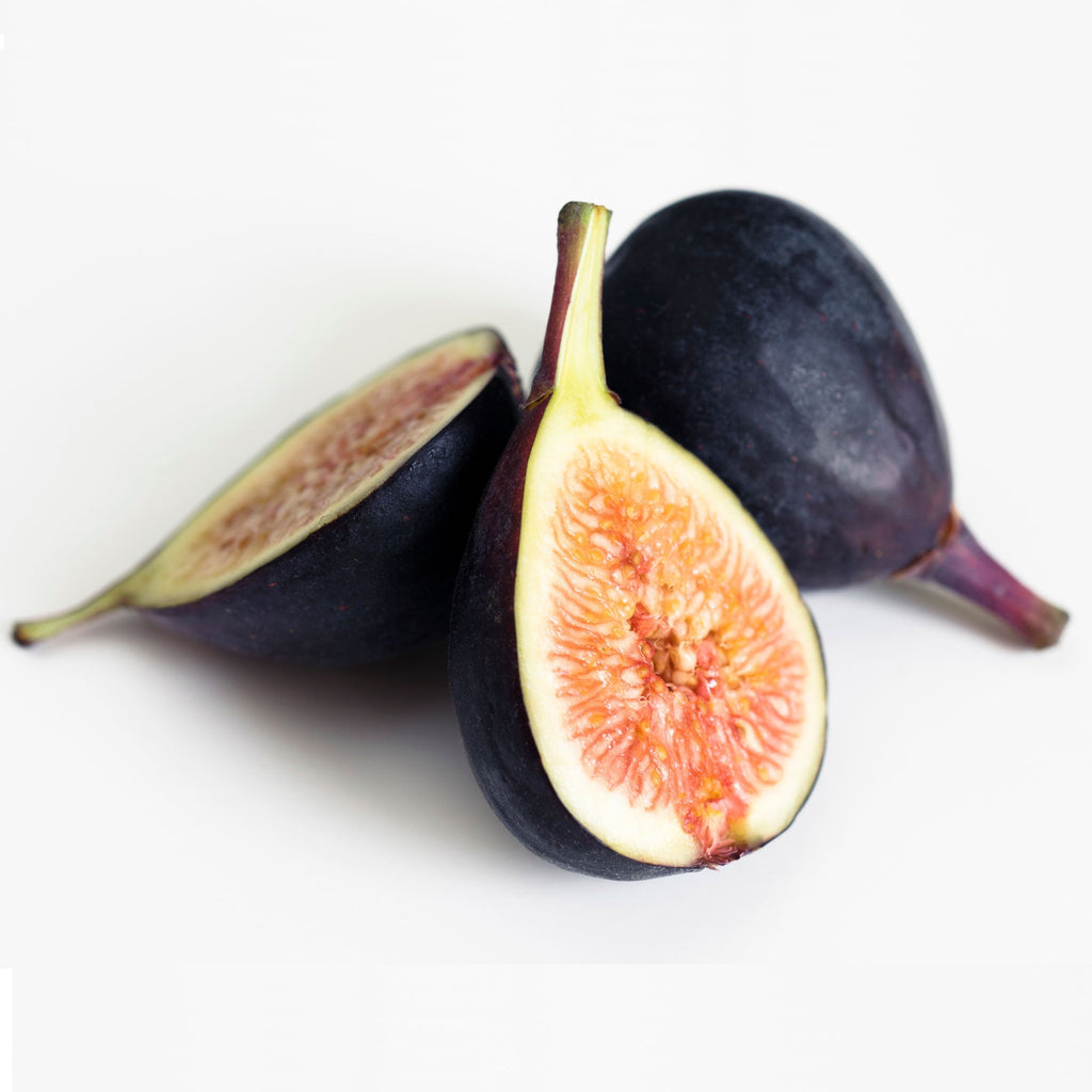 Black Mission Fig Tree - Cheeky Garden