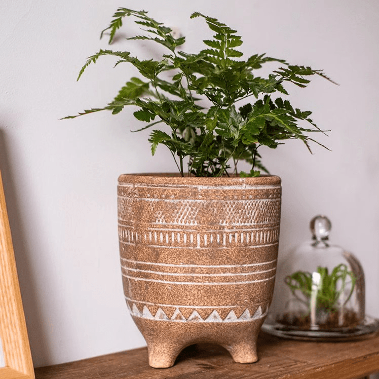 Bohemian Red Clay Planter - Cheeky Garden