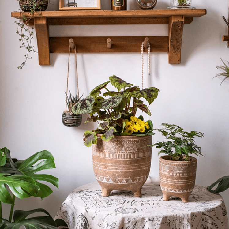 Bohemian Red Clay Planter - Cheeky Garden