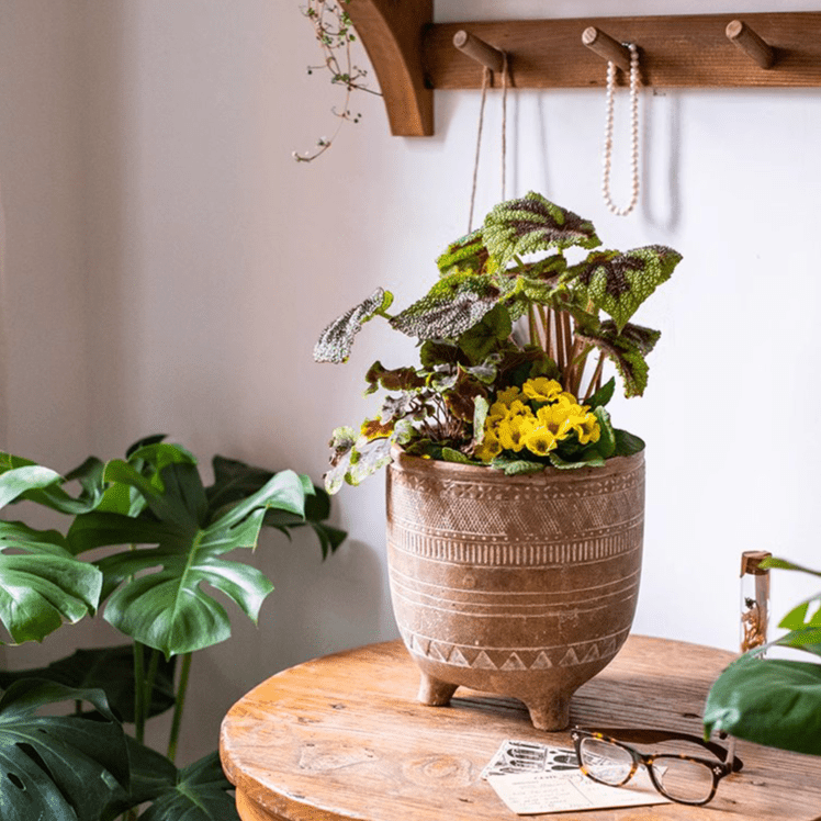 Bohemian Red Clay Planter - Cheeky Garden