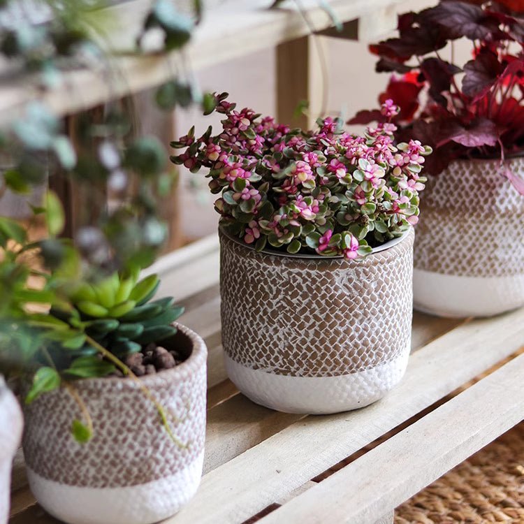 Boho Straw-Look Flower Planter - Cheeky Garden