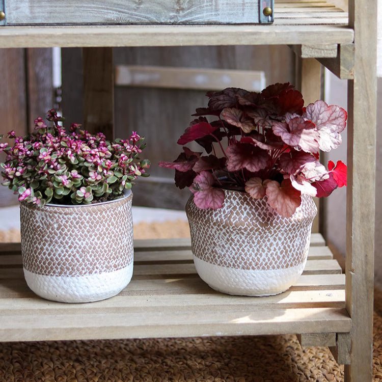 Boho Straw-Look Flower Planter - Cheeky Garden